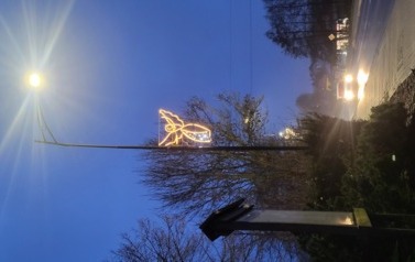 20251209_160014