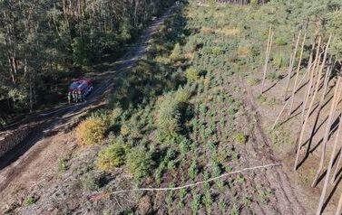 DJI_20261011111244_0128_D