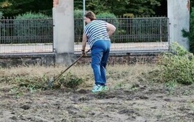 Ogr&oacute;d Życia2