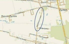 Modrzewiowa