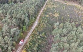 DJI_20261011095339_0119_D