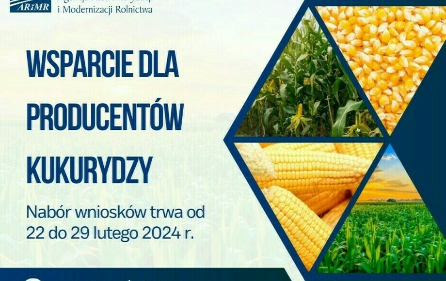 Zdjęcie do Rolniku, mało czasu na złożenie wniosk&oacute;w na dopłaty do kukurydzy...