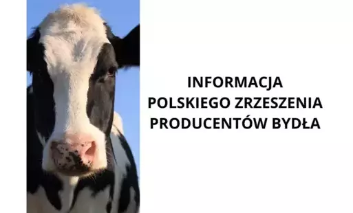 Dodatkowe pieniądze dla hodowców bydła z QMP – tylko do 16 czerwca!