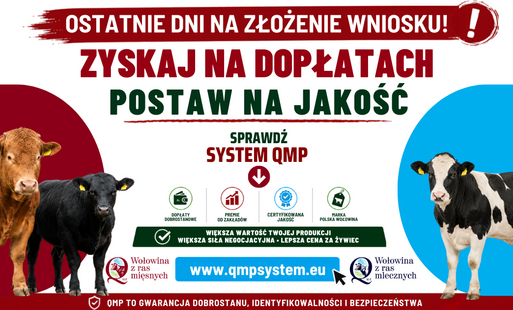 Dodatkowe pieniądze dla hodowców z QMP – tylko do 1 czerwca