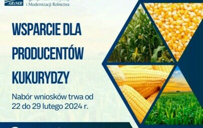Zdjęcie do Rolniku, mało czasu na złożenie wniosk&oacute;w na dopłaty do kukurydzy i pomoc suszową!
