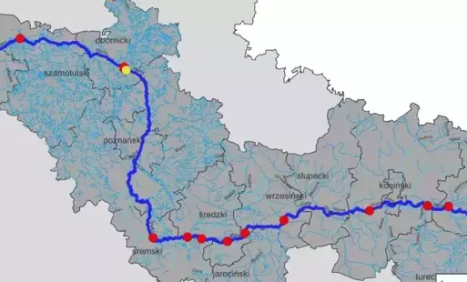 Komunikat WIORiN w sprawie bakterii śluzaka ziemniaka 