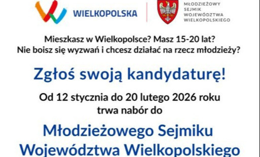 Młodzieżowy Sejmik Województwa Wielkopolskiego: nabór kandydatów