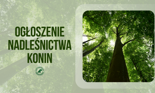 Zakup lasów lub gruntów do zalesienia od osób prywatnych