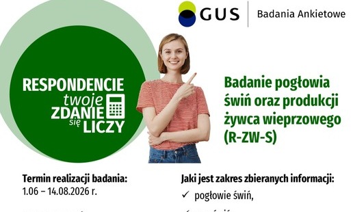 Badania ankietowe: pogłowie świń