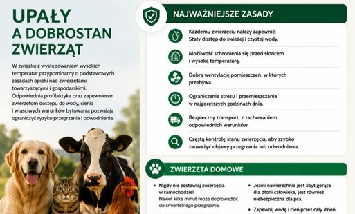 Upały a dobrostan zwierząt